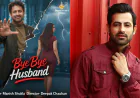 Jeet Raidutt Shines in Bye Bye Husband Series